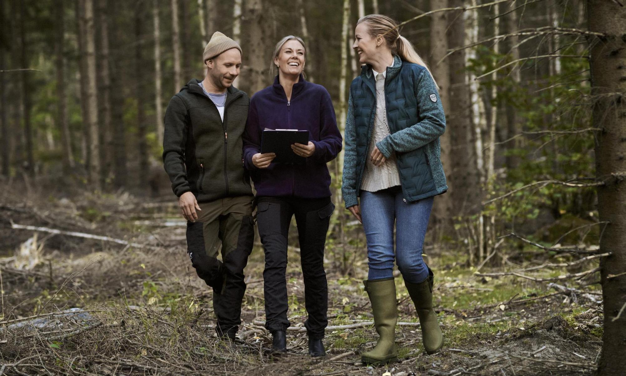 Three people having a forest meeting