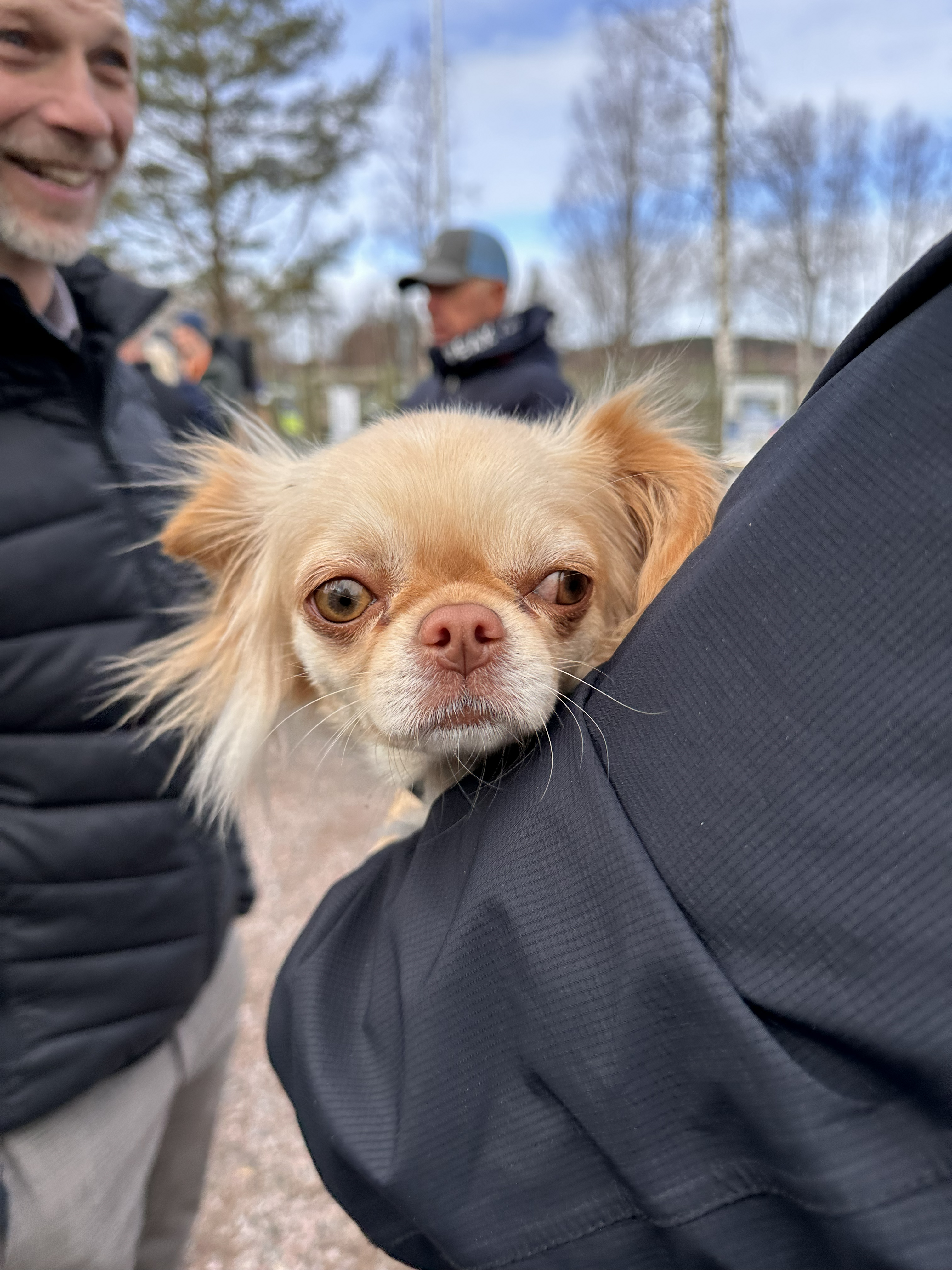 Hundar och människor under invigningen av Leksands hundpark vid Norsbro.