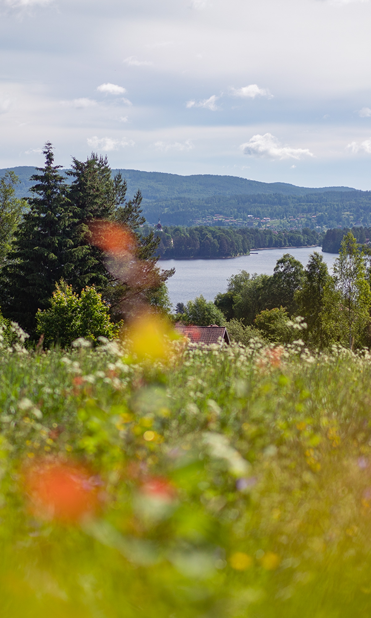 Flowers and Siljan